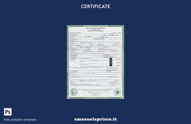 modello di certificato di morte dello stato USA Illinois in stile verificato nel